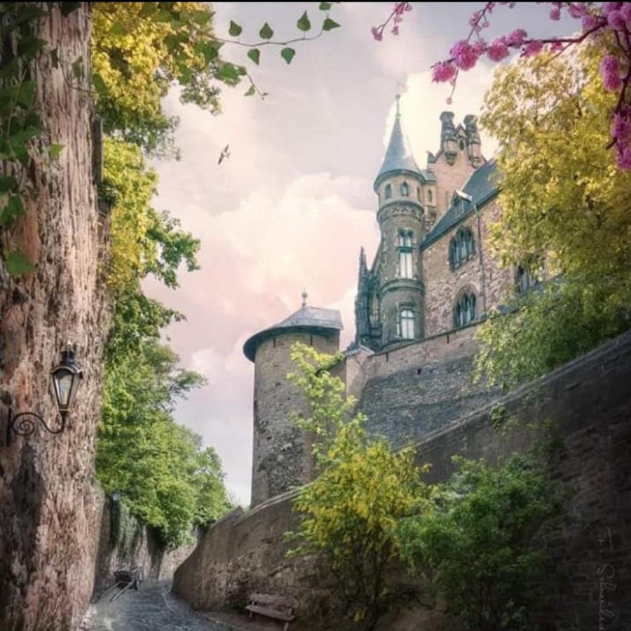 Ferienhaus Am Westerntor III Lägenhet Wernigerode Exteriör bild